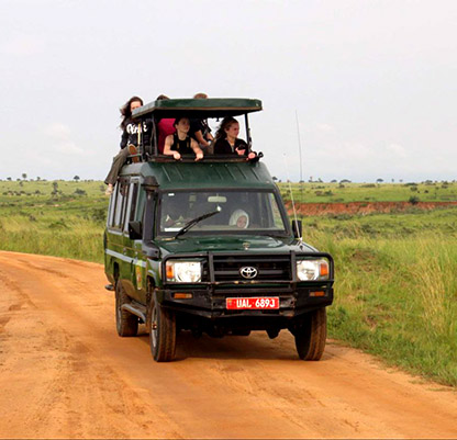 floras and fauna safari vehicle hire