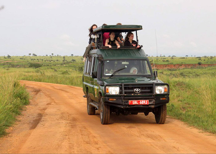 floras and fauna safari vehicle hire